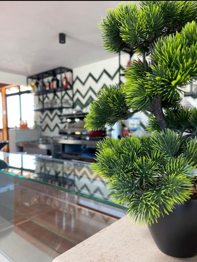 Hotel Camping Smeraldo Campomarino  Zewnętrze zdjęcie